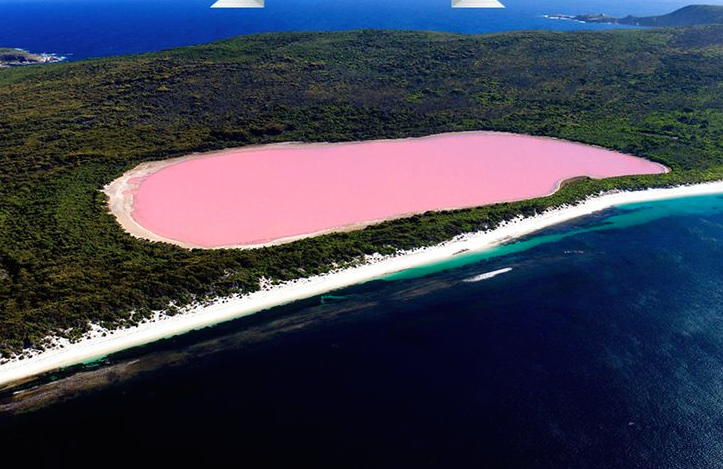 Daydream Diaries Travel Blog- 5 Places to see pink2