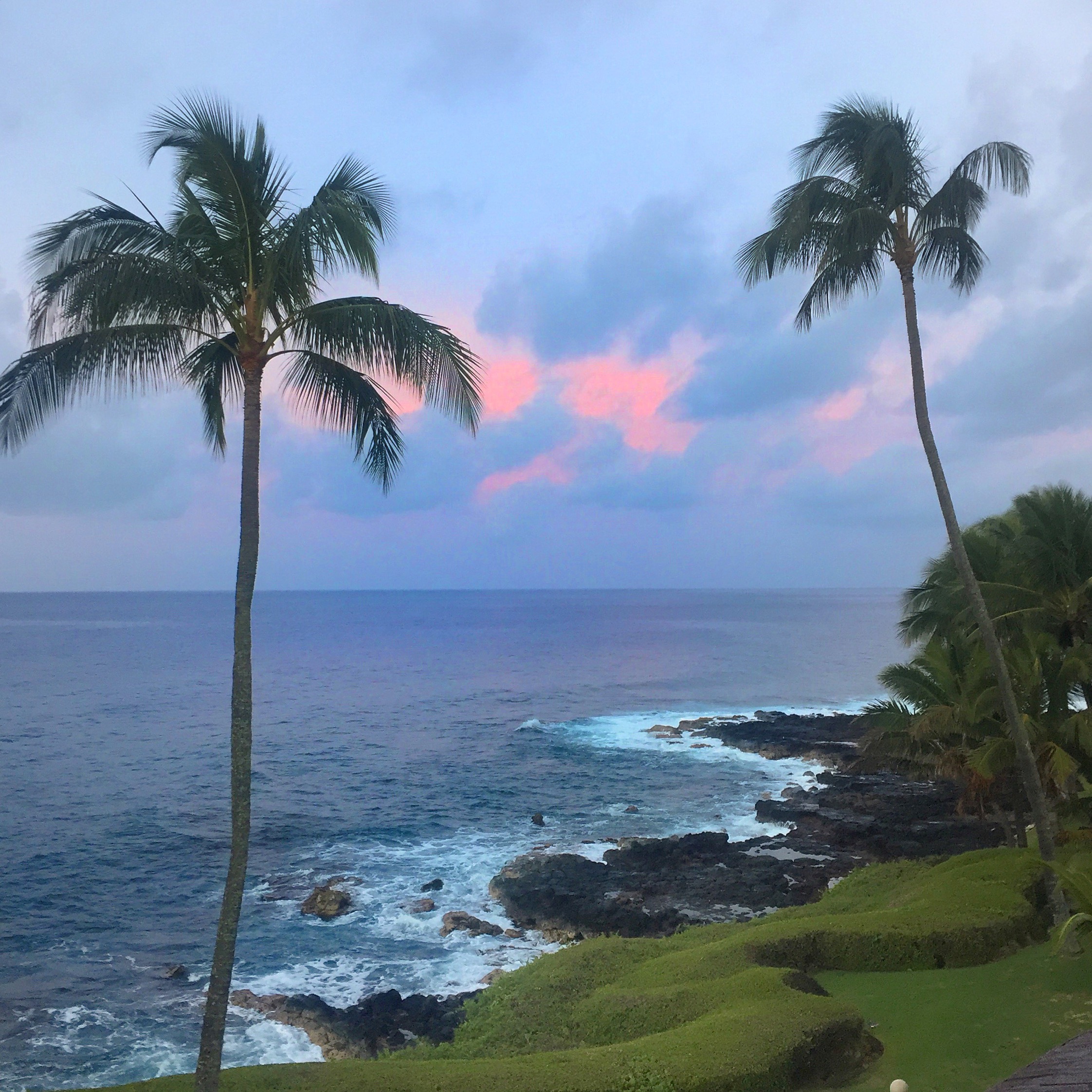INSIDE: The Hilton Hawaiian Village • The Daydream Diaries