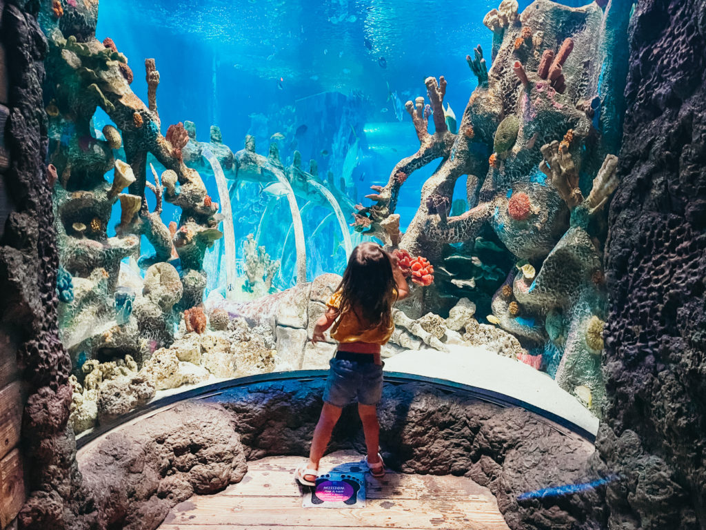 10 AMAZING KID FRIENDLY THINGS TO DO IN TEMPE, ARIZONA