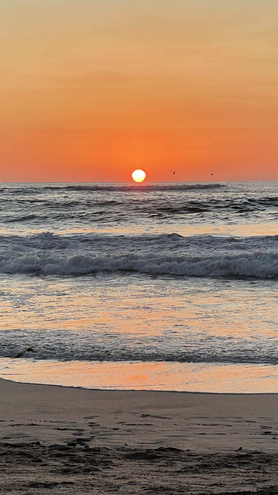 6 Reasons To Visit The Beautiful Playa Pelada Beach In Costa Rica