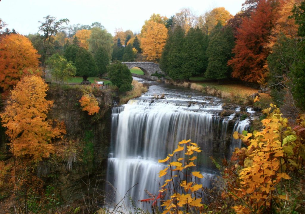 Webster Falls in Hamilton, Ontario which is one of the most popular Waterfalls in hamilton