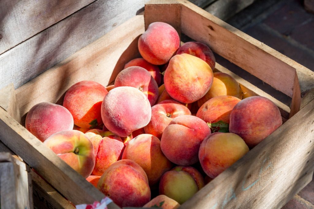 5 Amazing Places To Go Peach Picking In Niagara The Daydream Diaries