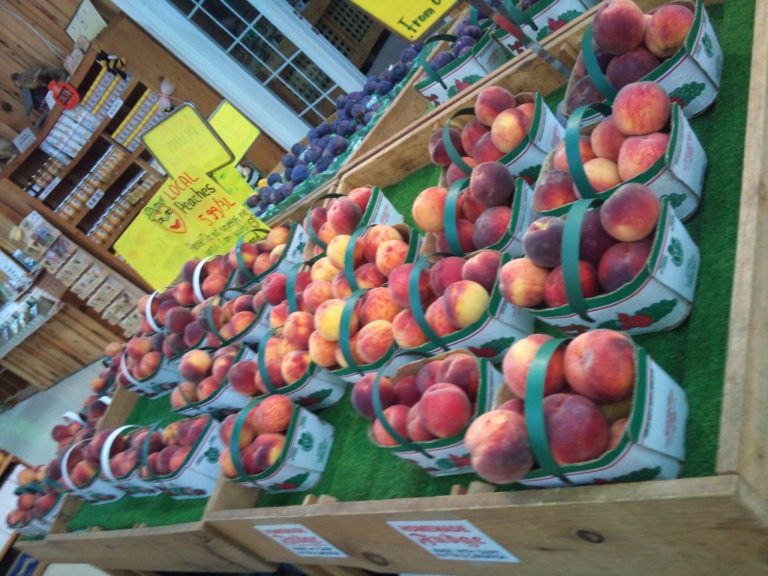 5 Amazing Places To Go Peach Picking In Niagara The Daydream Diaries