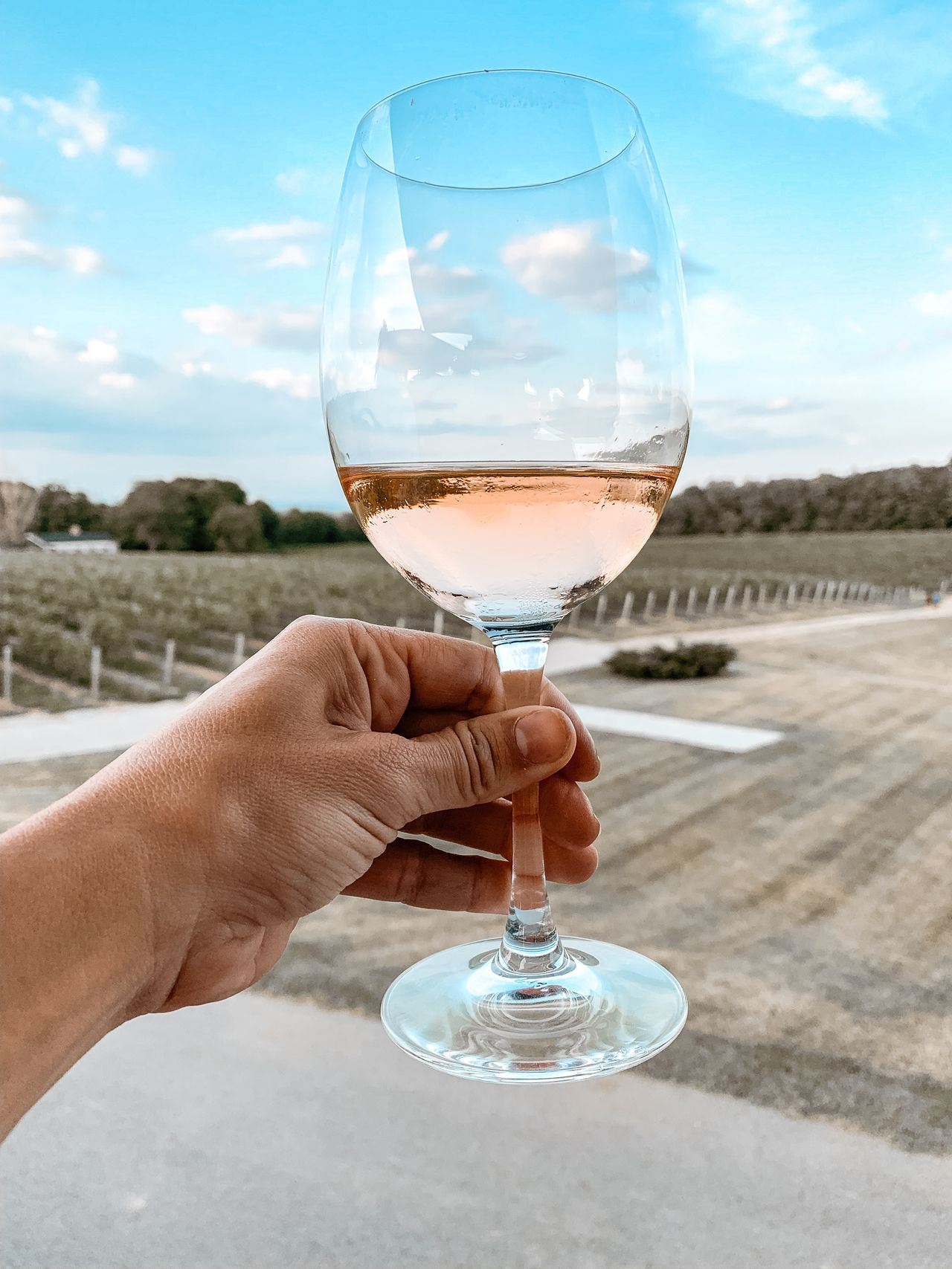 You Won’t Want To Miss This Super Fun Niagara Bike Wine Tour