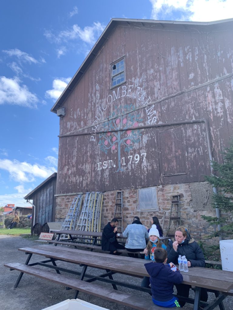 Apple Picking in Hamilton