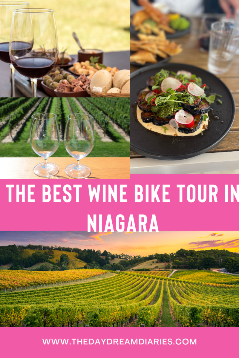 ontario wine bike tours