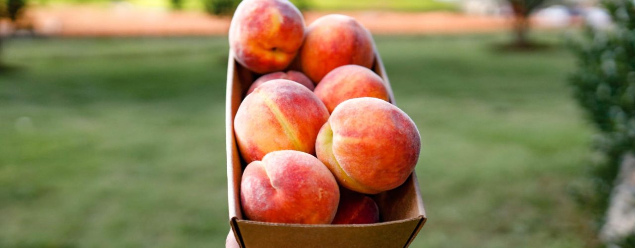 5 Places to Go Peach Picking In Niagara • The Daydream Diaries