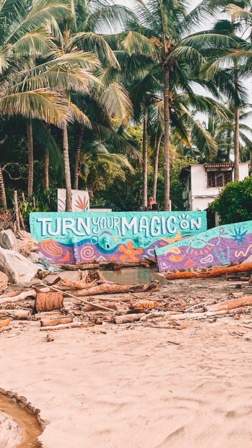 Beach Clean Up in Sayulita