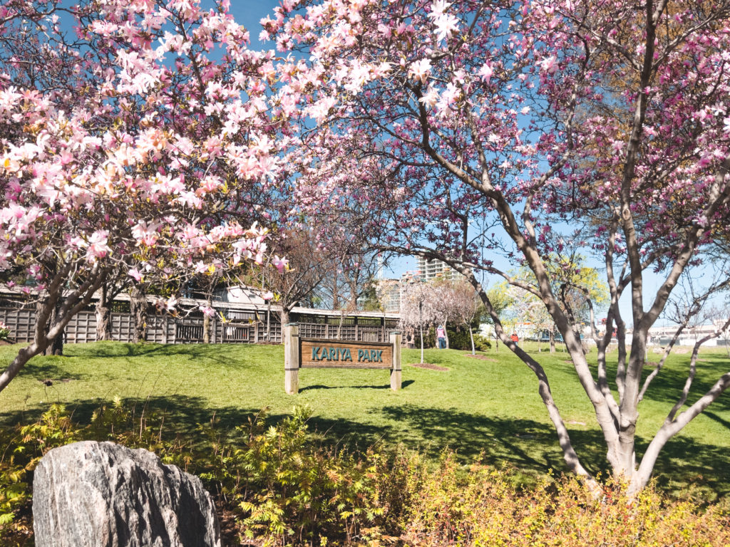 Kariya Park Missisauga