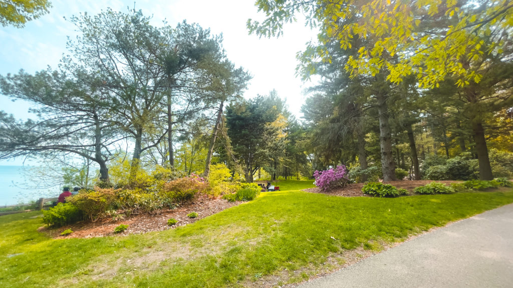 BRUECKNER RHODODENDRON GARDENS