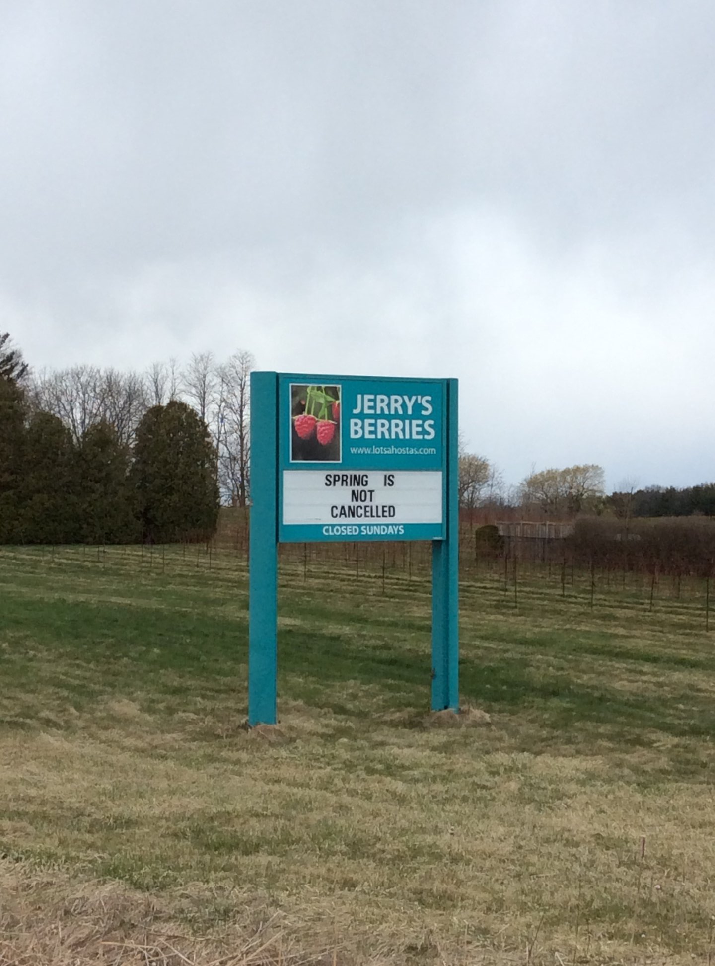 Strawberry Picking in Hamilton, Ontario 5 Amazing Places to Visit