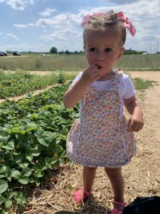 Strawberry Picking in Hamilton, Ontario: 5 Amazing Places to Visit!