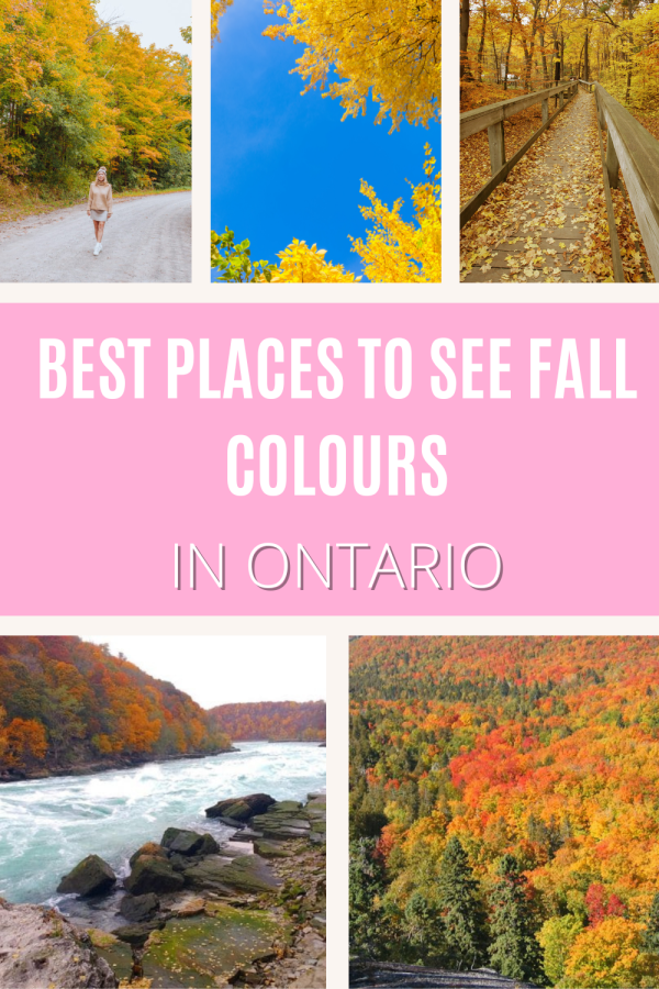 14 Places To See Epic Fall Colours in Ontario