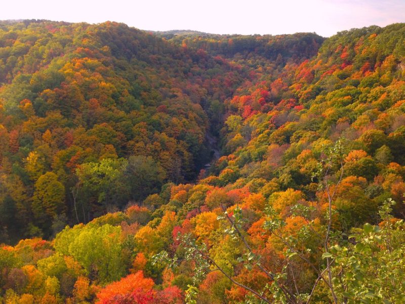 Fall in Hamilton Ontario