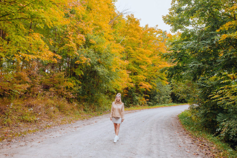 Peak Fall Colours in Ontario