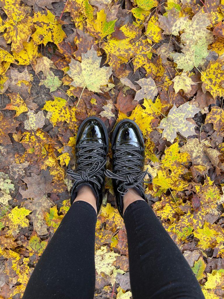 Chedoke Radial Trail for Fall Colours in Ontario