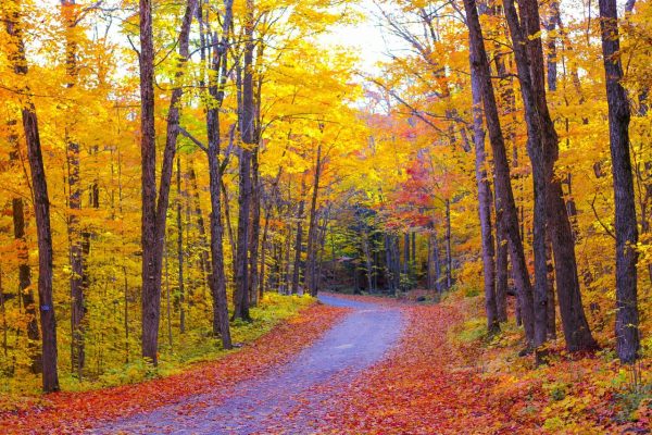14 Places To See Epic Fall Colours in Ontario