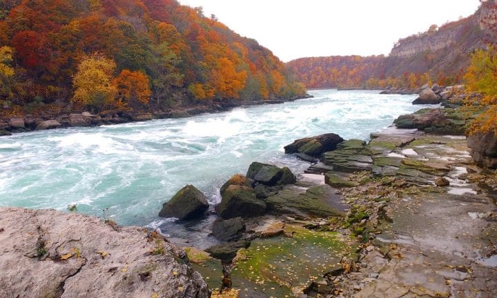 Niagara Glen at fall