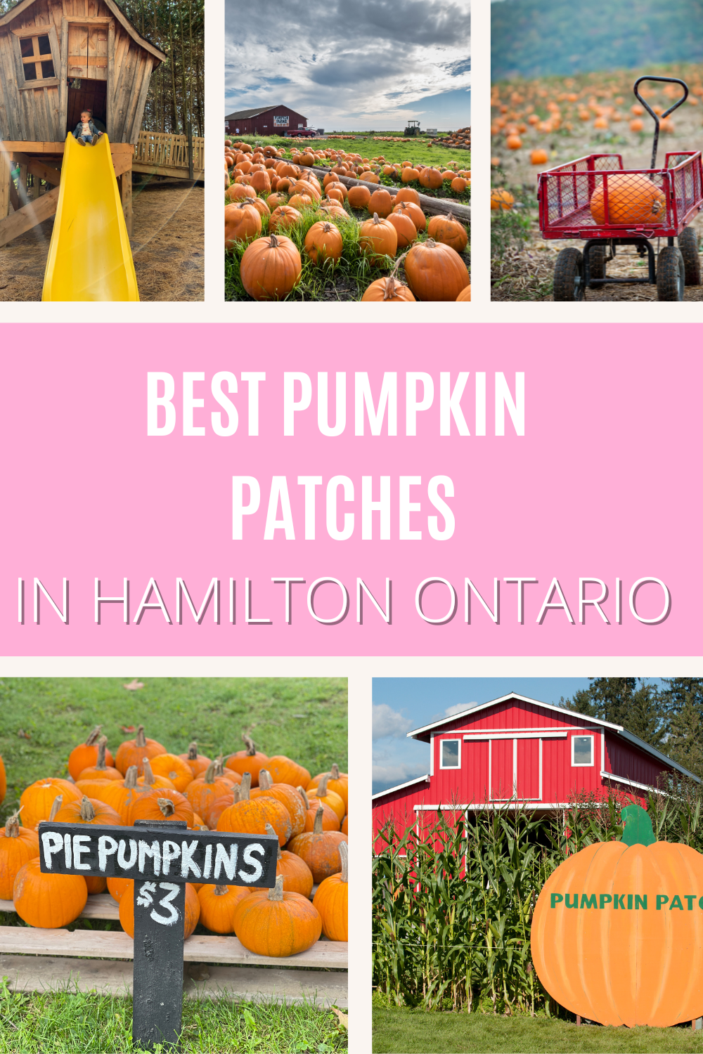 7 Of The Cutest Pumpkin Patches in Hamilton Ontario ( 2024) • The