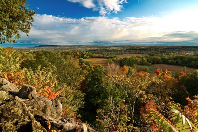 Fall Colours Near Toronto