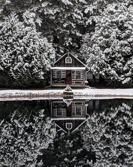 Cozy Cabins in Ontario for Winter