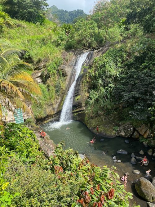 7 Beautiful Waterfalls in Grenada • The Daydream Diaries