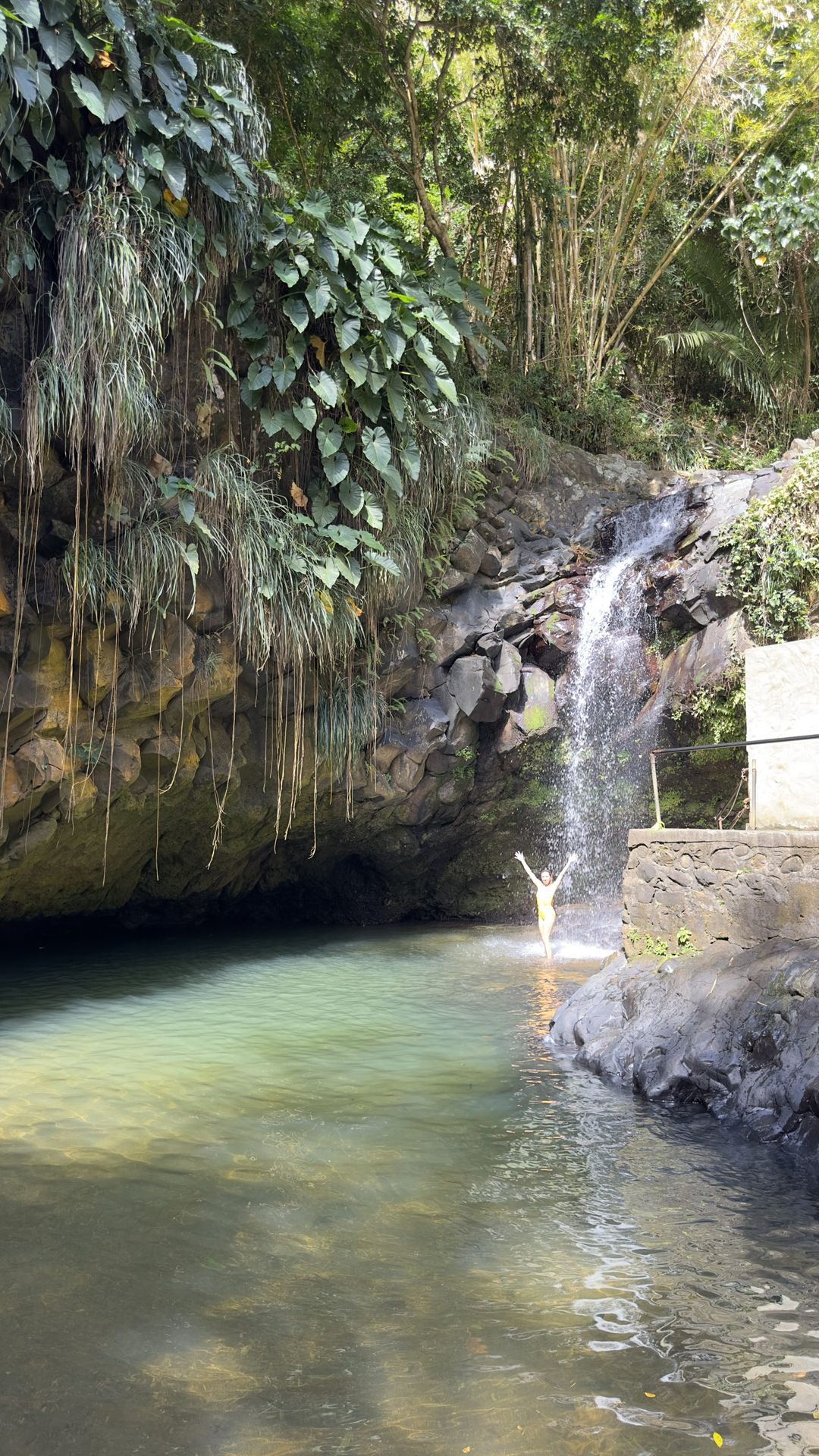 7 Beautiful Waterfalls in Grenada • The Daydream Diaries