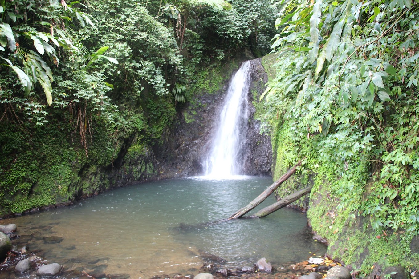 7 Beautiful Waterfalls in Grenada