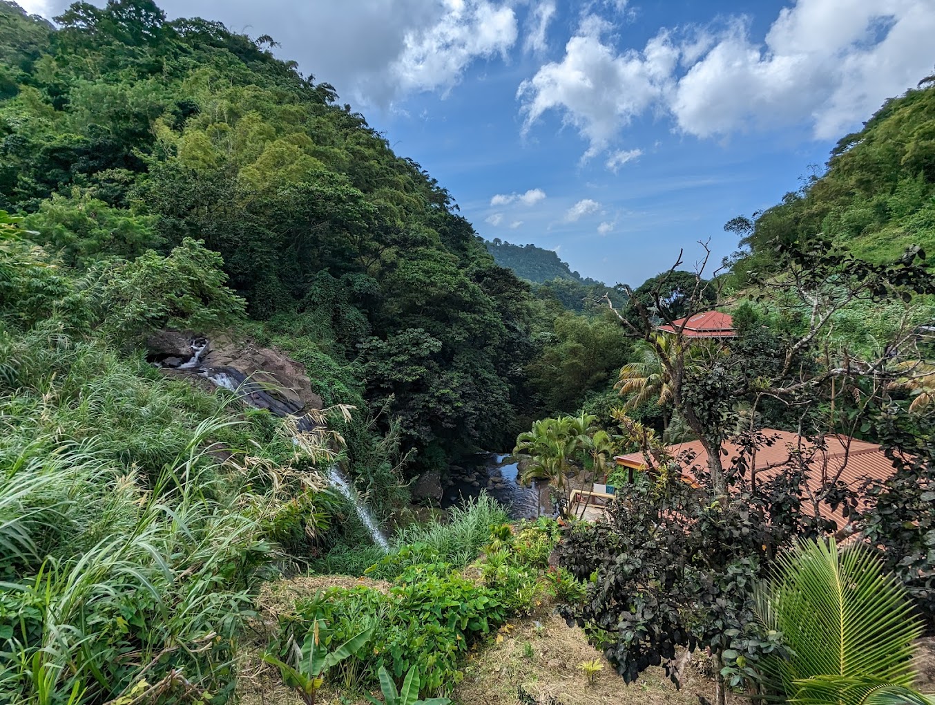 7 Beautiful Waterfalls in Grenada • The Daydream Diaries