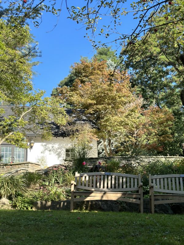 11 Cool Things to do in Ancaster, Ontario: Travel Guide