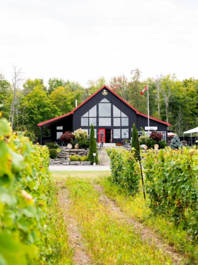 14 Of The Coolest and Best Wineries in Prince Edward County , Ontario To Sip At