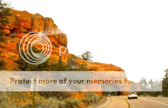 marisa mercanti, c'est girl so chic, toronto blogger photo IMG_1324.jpg