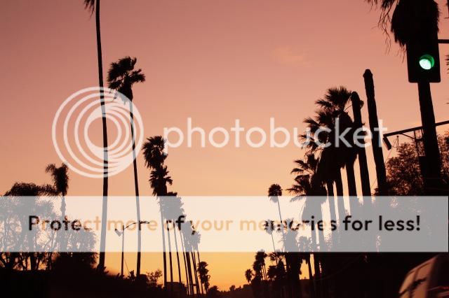 marisa mercanti, c'est girl so chic, marisa mercanti, c'est girl so chic, california, los angeles photo IMG_4466.jpg