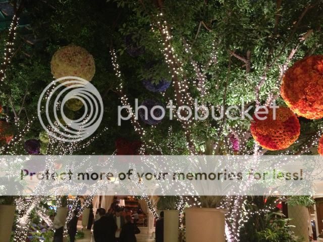 marisa mercanti, c'est girl so chic, toronto blogger, lifestyle blogger toronto, las vegas, coast to coast road trip, route 66, american road trip, marisa, mercanti, photo IMG_8434.jpg