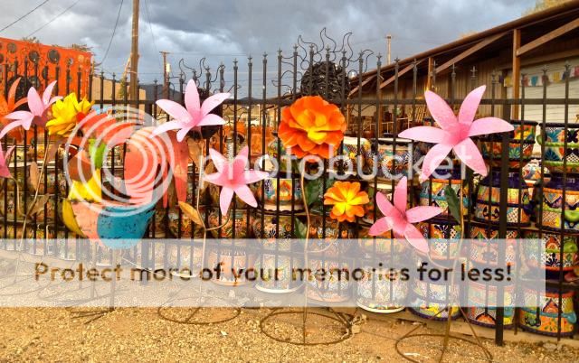 marisa mercanti, c'est girl so chic, santa fe, new mexico photo IMG_8627.jpg