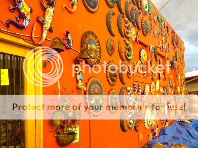 marisa mercanti, c'est girl so chic, santa fe, new mexico photo IMG_8630.jpg