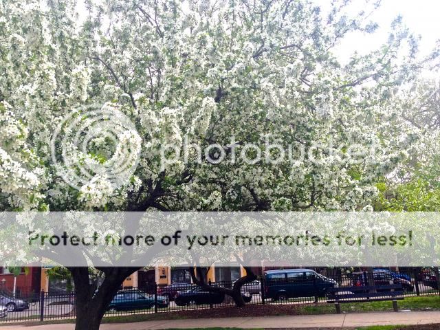 marisa mercanti, c'est girl so chic, toronto blogger, road trip across america blog, girls road trip, travel photo IMG_8807-1.jpg