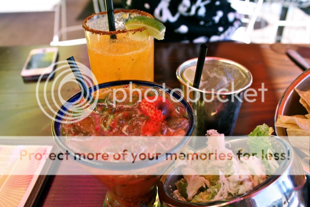 scottsdale, arizona, the saguaro, mexican, girls trip, pool, fashion blogger, travel blogger, marisa mercanti photo IMG_8891.jpg