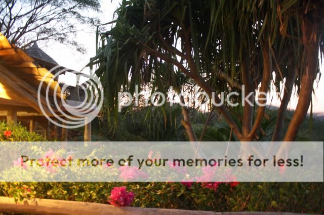 costa rica, marisa mercanti, toronto blogger, los  photo IMG_9892.jpg