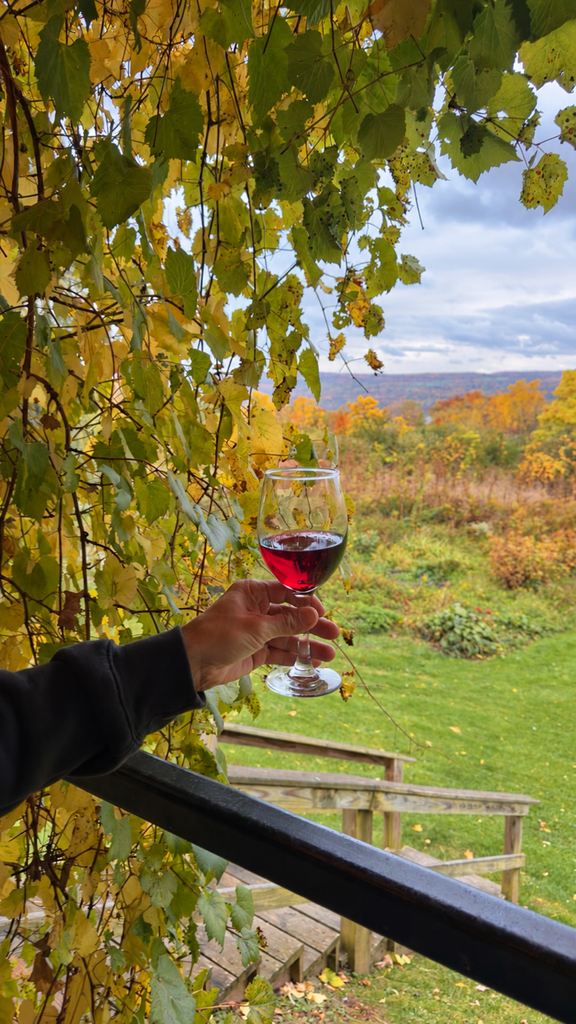 Seneca Lake Wine Trail
